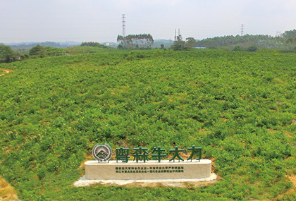 示范种植基地