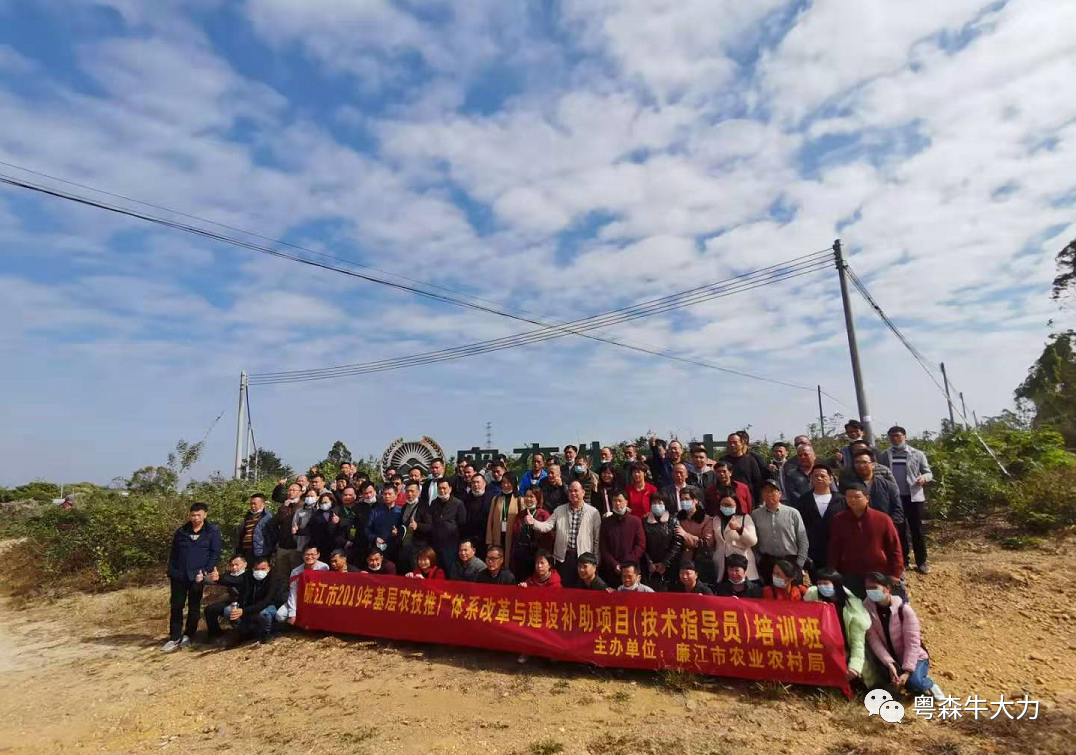 100位农业技术推广员来访，共商牛大力产业化发展
