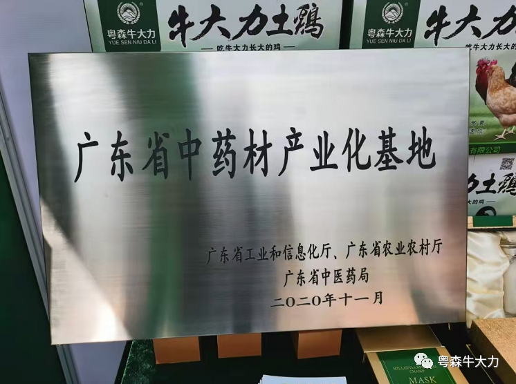 祝贺！粤森牛大力荣获首批广东省中药材产业化基地